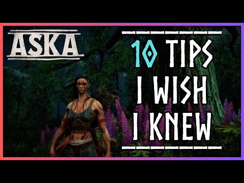 10 Tips I Wish I Knew BEFORE I Started ASKA