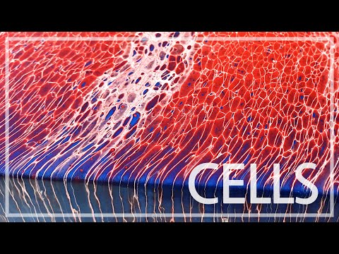 [Acrylic pouring] How to make amazing cells fluidart painting PLANT CELL / red&blue / 플루이드아트 아크릴 푸어링
