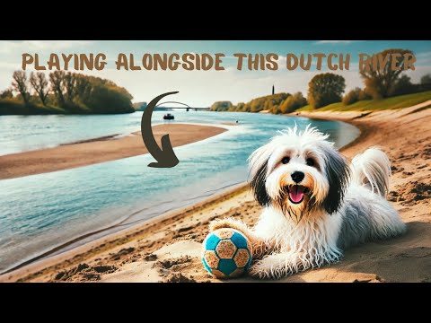 Hiking in Ameide | Utrecht | Netherlands