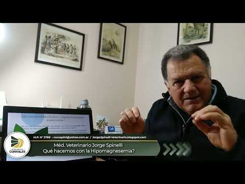 Médico Veterinario Jorge Spinelli - Hipomagnesemia