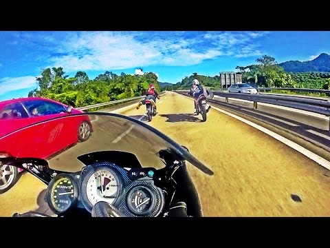 RWDesign Pelesit Rayau Anniversary 2.0 Cameron Highland