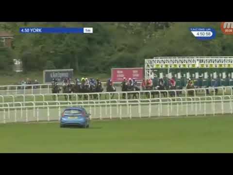 嘉應之星 KA YING STAR (C198) 外地出賽