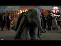 DUMBO | Fly Little One! Clip - Colin Farrell, Eva Green, Danny DeVito | Official Disney UK