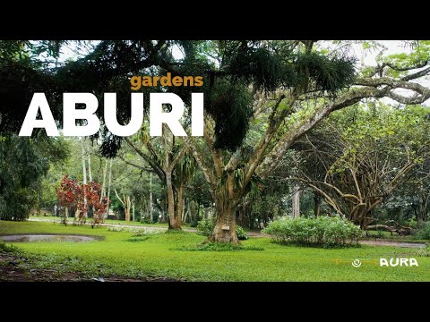 131 Years old Botanical Garden - Aburi Gardens - 4k Aerial tour