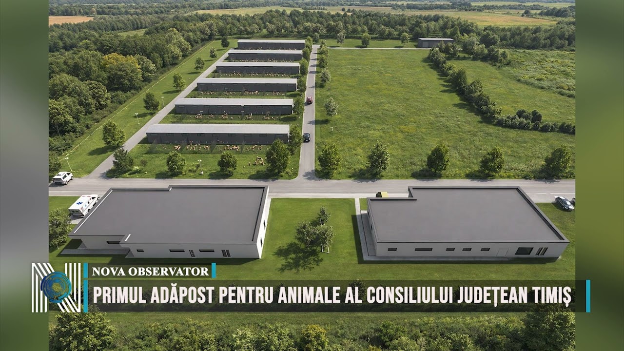 Primul adăpost pentru animale al Consiliului Județean Timiș