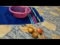 Magic In Fruits