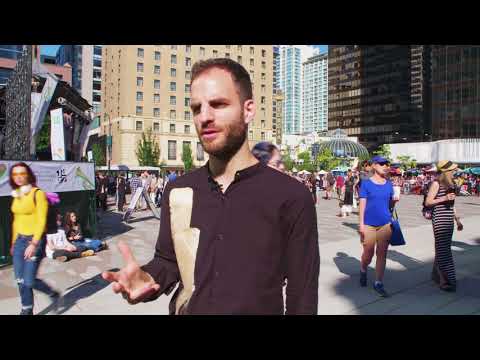 Artist Interview with Lukas Kranzelbinder of Shake Stew