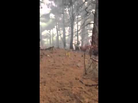 اشتباكات بين مقاتلي كتيبة المصطفى وقوات النظام في إحدى جبهات جبل التركمان في ريف اللاذقية