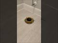 Installing A Toilet