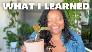 Aglaonema Care: Soil, LECA, or Pon? Here’s What Works Best