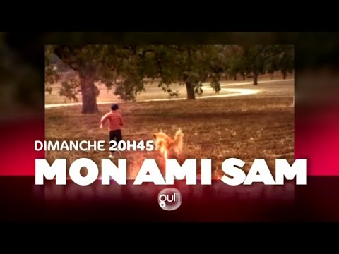 Ba Gulli 2011 - Mon ami Sam