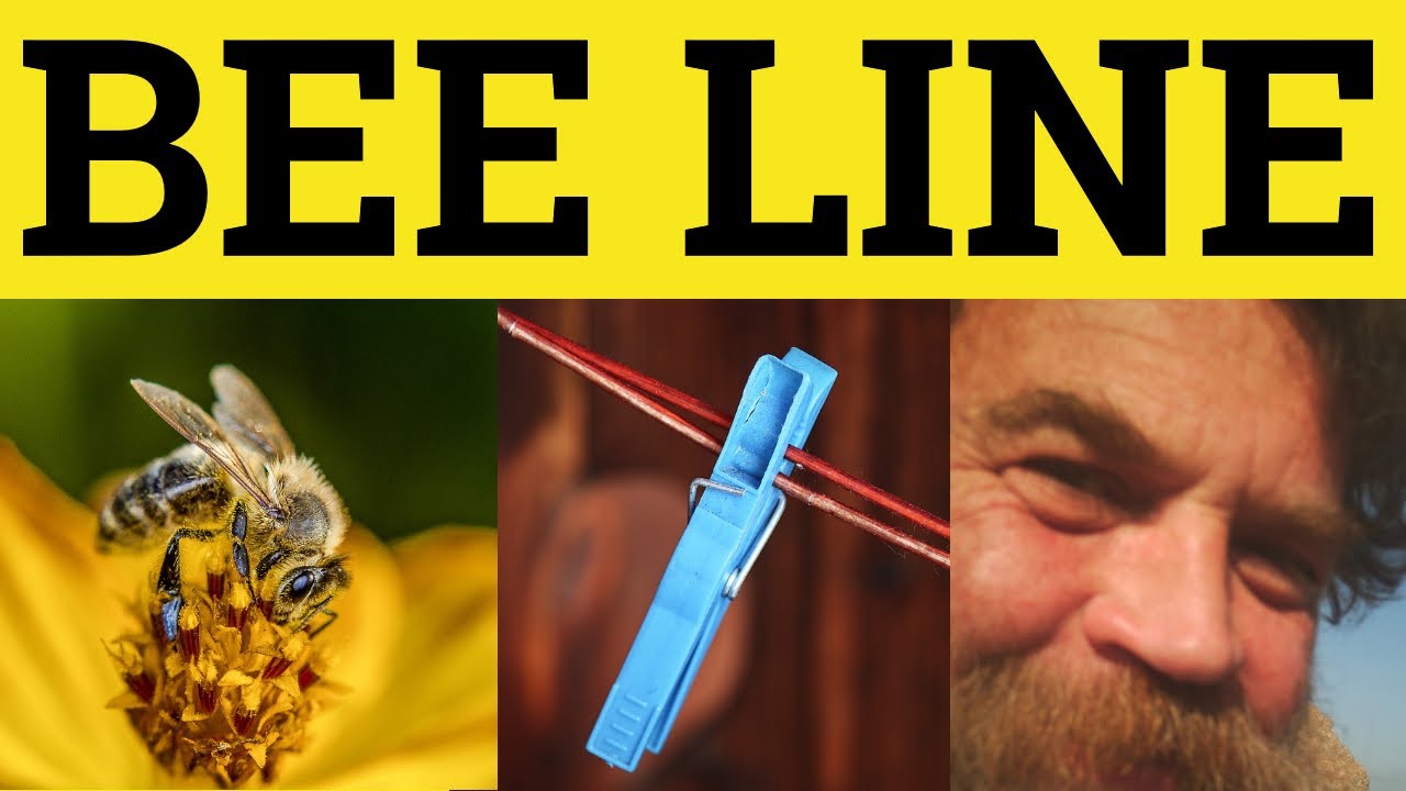 🔵 Beeline Meaning - Bee Line Examples - Define Make a Beeline For - Idioms British Pronunciation