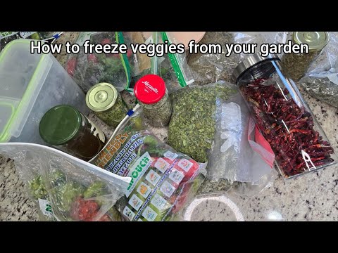 What's in my freezer! / how to freeze veggies from your garden/ how to store veggies & herbs longer