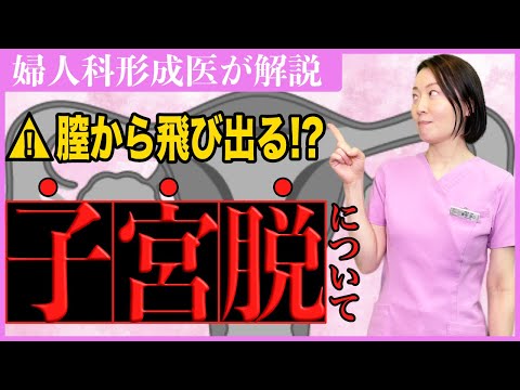 性器脱について詳しく解説