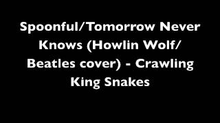 Spoonful/Tomorrow Never Knows - Crawling King Snakes