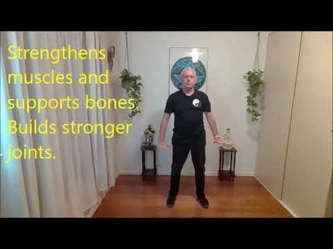 Qigong Salute to the Sun video