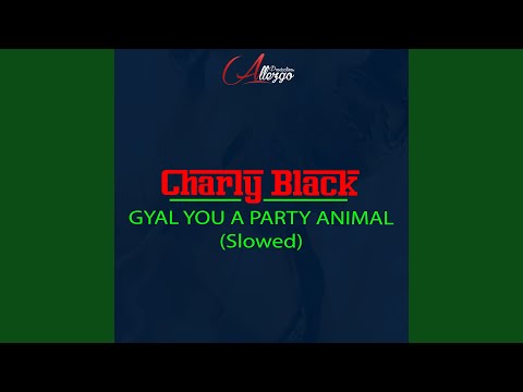 Gyal You a Party Animal (Slowed)