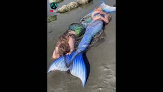 Download lagu 💥😱கடல் கன்னிகளை கண்டுபிடித்த Youtuber🙆💢 #shorts #facts mp3 Download lagu 💥😱கடல் கன்னிகளை கண்டுபிடித்த Youtuber🙆💢 #shorts #facts mp3