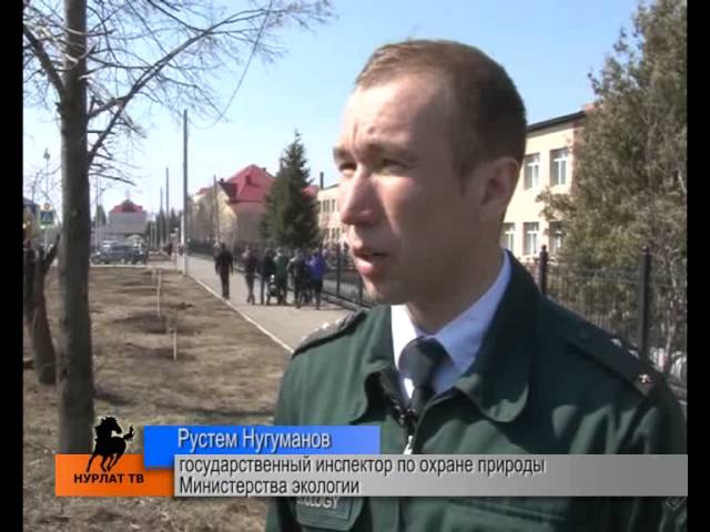 Результат эксперимента - новая аллея