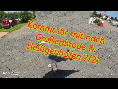 Kommt ihr mit 2Tage mit dem Camper nach Großenbrode und Heiligenhafen 7/21