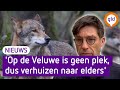 Wolven kiezen voor een andere regio en vertrekken richting Duitsland