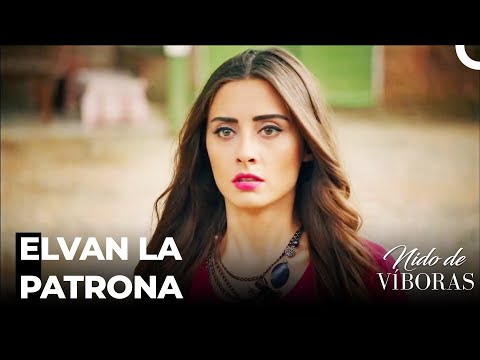 Elvan Entró En La Granja - Nido De Víboras Capitulo 33 (Dobladas en Español)