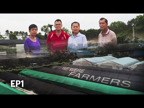 Saying goodbye to a family farm after 60 years | EP1 | We Were Farmers