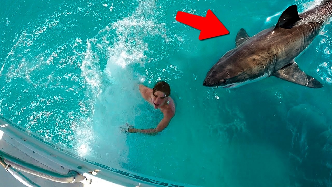 Momente, die kurz vor einer Katastrophe gefilmt wurden