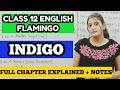 INDIGO CLASS 12 IN HINDI