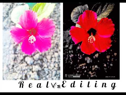 Beauty of nature 🌺❤️swapner hridoy