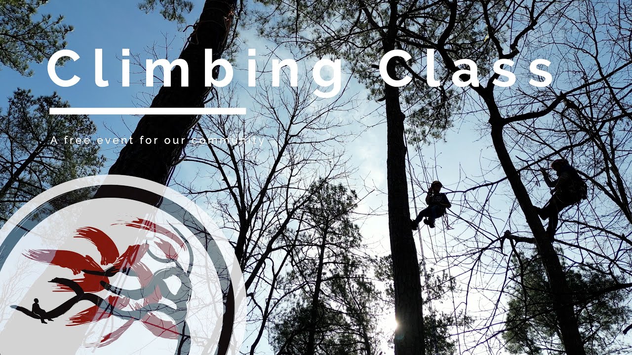 Free Tree Climbing Classes For our Community in Chapel Hill, North Carolina!