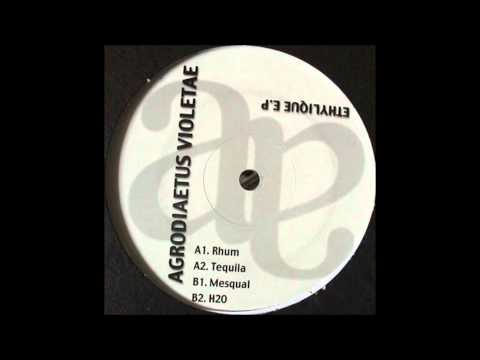 Baby 03 - Agrodiaetus Violetae - B1