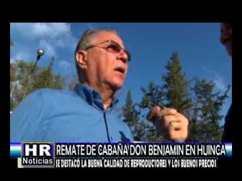 REMATE DE CABAÑA DON BENJAMIN EN HUINCA   SE DESTACO LA BUENA CALIDAD DE REPRODUCTORES Y LOS BUENOS