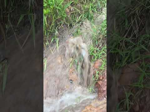 Pensa em uma chuva caprichada.foi aqui na mata da onça município de Seabra Bahia Chapada Diamantina