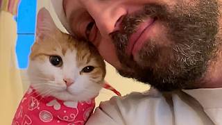 Street cat gets saved and now she's daddy's girl