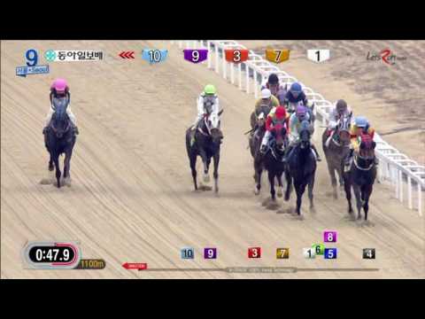 Donga Ilbo Cup 2017 - Meni Money