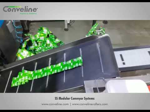 Modular Conveyor System