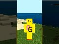 Rarest Seed In Minecraft For Speedrun Minecraft