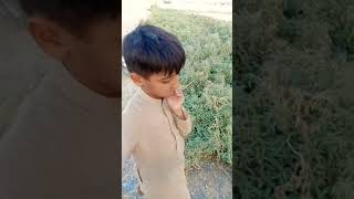 Download lagu New Viral Instrumental Music |Ringtone🎃 #Shorts #Instruments #Ringtone mp3 Download lagu New Viral Instrumental Music |Ringtone🎃 #Shorts #Instruments #Ringtone mp3