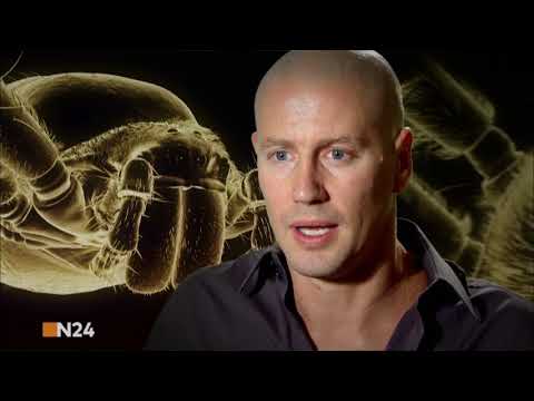 DIE WELT Monsterduelle XXS "N24"