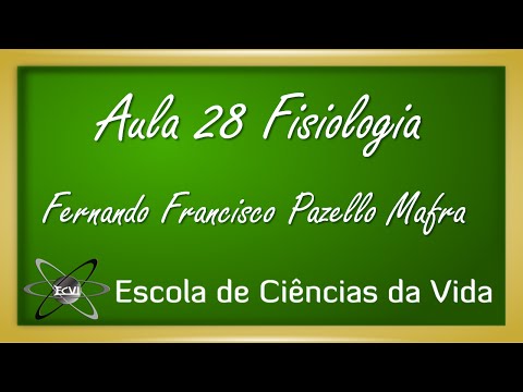 Fisiologia: Aula 28 - Sistema Circulatório - Fluxo da corrente no ciclo cardíaco