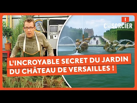 L'incroyable secret du jardin du Château de Versailles ! - C'est pas sorcier