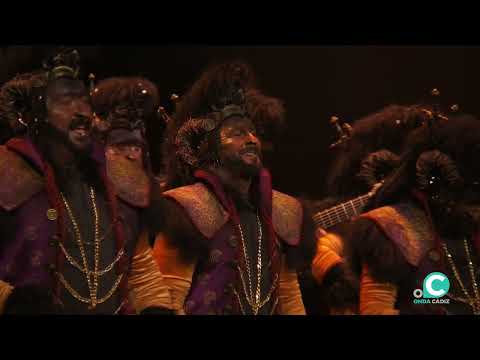 Comparsa, La oveja negra - Preliminares