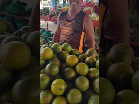 FEIRA DE SANTA INÊS BAHIA #shorts #feira #santainês #bahia #turismo #cultura #entretenimento