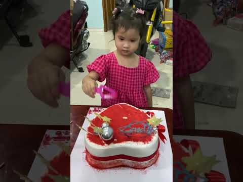 Bánh sinh nhật - Misol