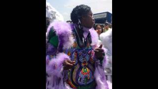 Flaming Arrows Big Chief Kevin- Shoe fly