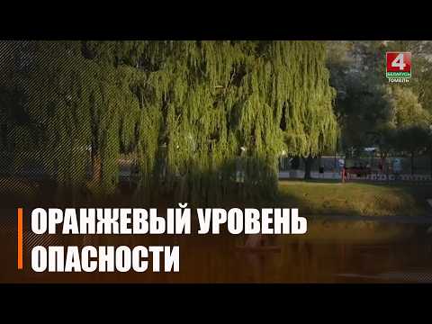 11 августа во многих районах Гомельщины ожидаются сильные ветры и грозы