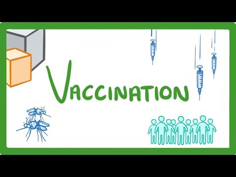 GCSE Biology What Are Vaccines Are They Safe How Do They Work Vaccines Explained 39