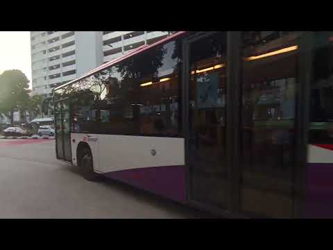 (SBST) SBS6849E on Service 667 departing Bus Stop 17229