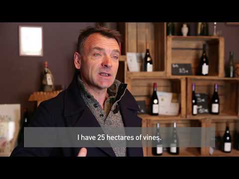 download lagu mp3 mp4 Mabileau, download lagu Mabileau gratis, unduh video klip Mabileau